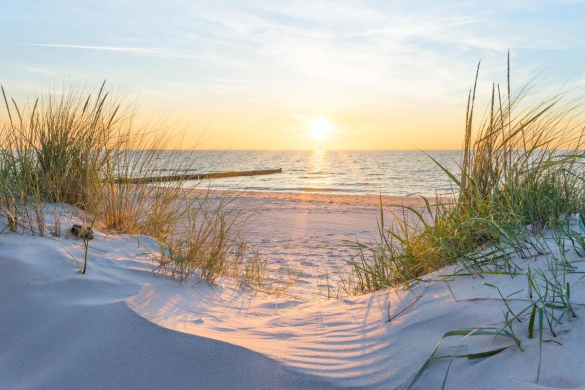 Immenbarg, Seeteufel * Rostock